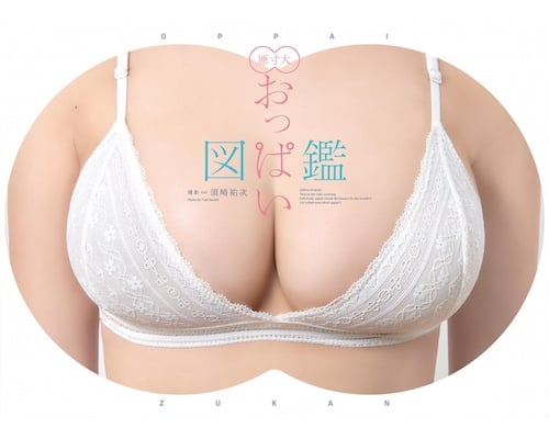 Oppai Zukan Full-Sized Gravure Idol Breasts Reference Book