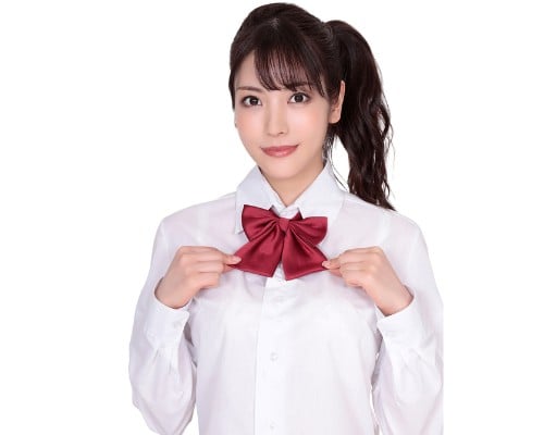 Cute Schoolgirl Ribbon Bow Dark Red Jacquard Weave