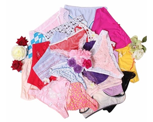 Sexy Japanese Full Back Panties Set (10 Pieces)