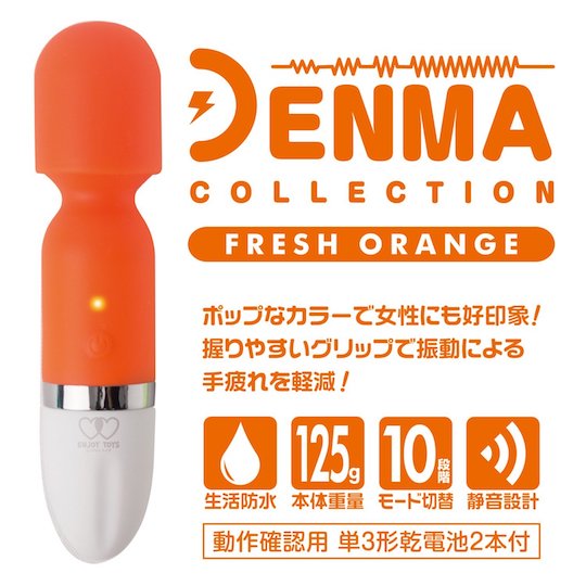 Denma Collection Massager Vibrator