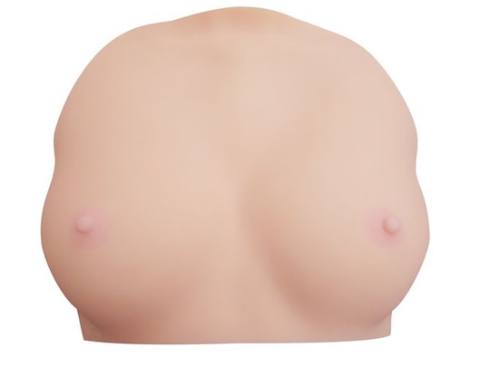 Ayaka Tomodas Bust 3D-scanned Porn Star Clone Breasts