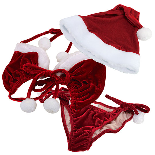 Mrs Claus Sexy Santa Bikini Costume Set