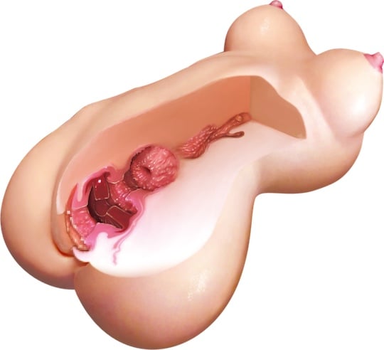 Pure Bride Virgo Onahole - Tight virgin uterus masturbator with breasts - Kanojo Toys