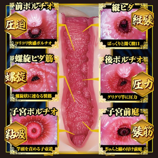 Shin Meiki 1 Kaho Imai - Japanese adult video porn star masturbator - Kanojo Toys
