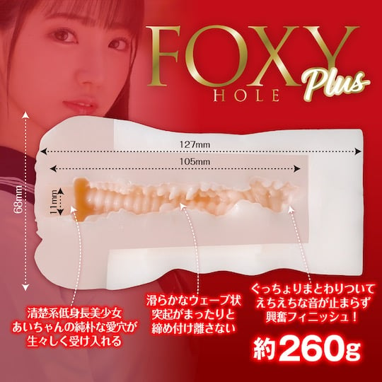 Foxy Hole Plus Ai Kawana Onahole - JAV Japanese adult video porn star masturbator - Kanojo Toys