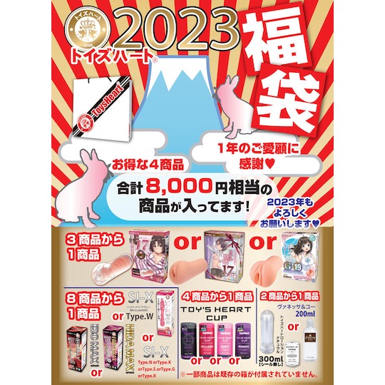 Toy's Heart Lucky Bag 2023 with Seven Teen Onahole Series - Set of 3 masturbators and 1 lubricant - Kanojo Toys