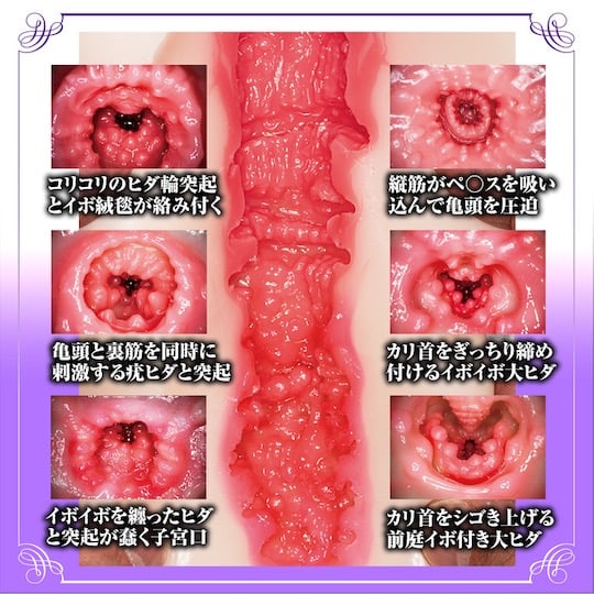 Nao Jinguji Complete Replica of a Mature Pussy - JAV Japanese adult video porn star masturbator - Kanojo Toys