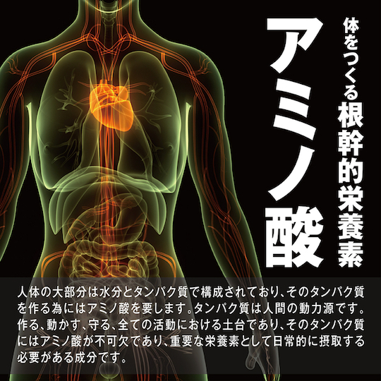 Minagiru Energy Capsule for Sexual Wellness - Arginine and citrulline supplement - Kanojo Toys