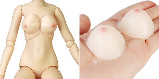 Nama Chichi Doll Bra - Mini sex doll breasts for Dollho - Kanojo Toys