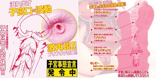 Nurse CQ Penetration Onahole - Japanese nurse fantasy masturbator - Kanojo Toys