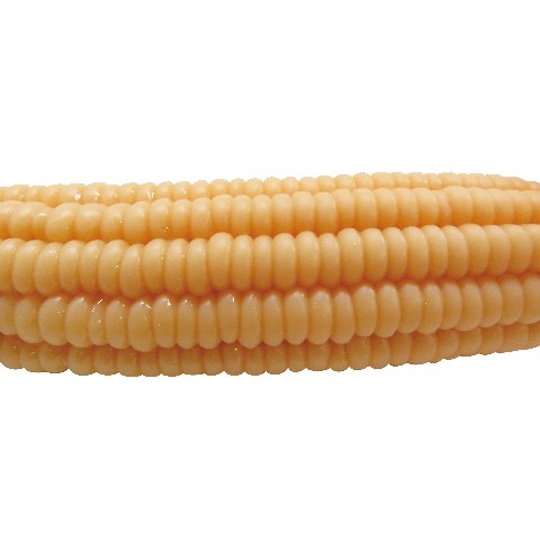Sweet Corn Cock Dildo - Cob and kernels design dildo - Kanojo Toys