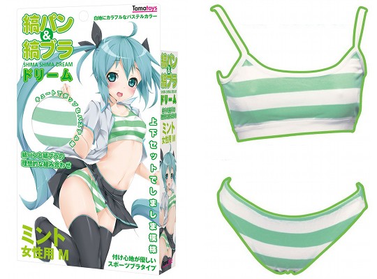 Mint Striped Dream Bra and Panty Cosplay Set