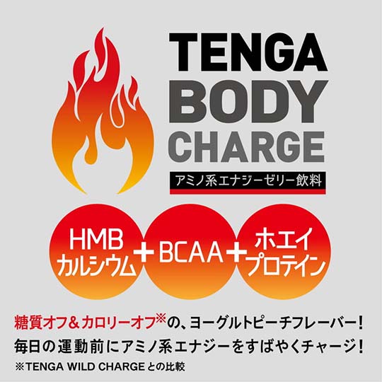 Tenga Body Charge
