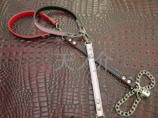 BDSM Leather Choker Metal Chain Leash