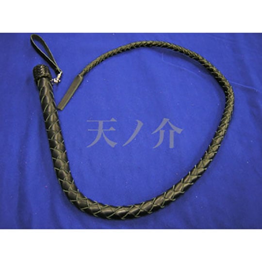 Braided Leather Whip