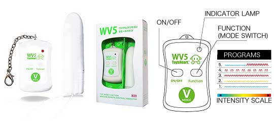 WV5 Wireless Vibe